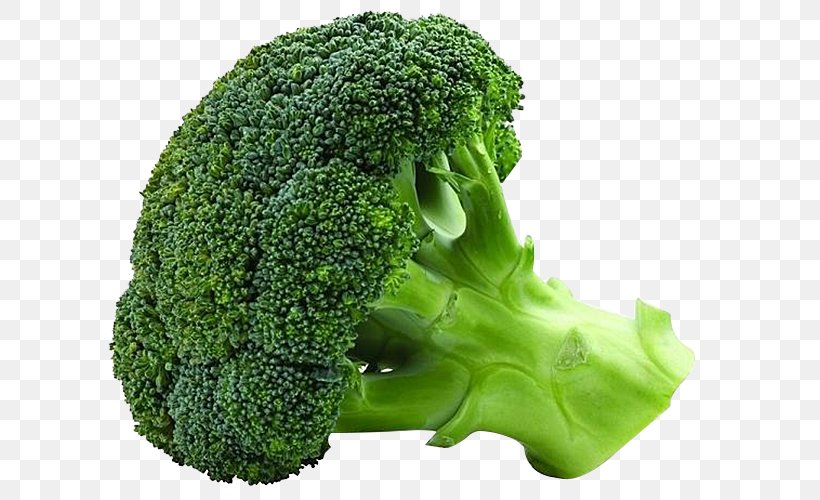 Vegetable Organic Food Broccoli Seed Cauliflower, PNG, 657x500px, Vegetable, Broccoli, Broccoli Sprouts, Cauliflower, Chili Pepper Download Free