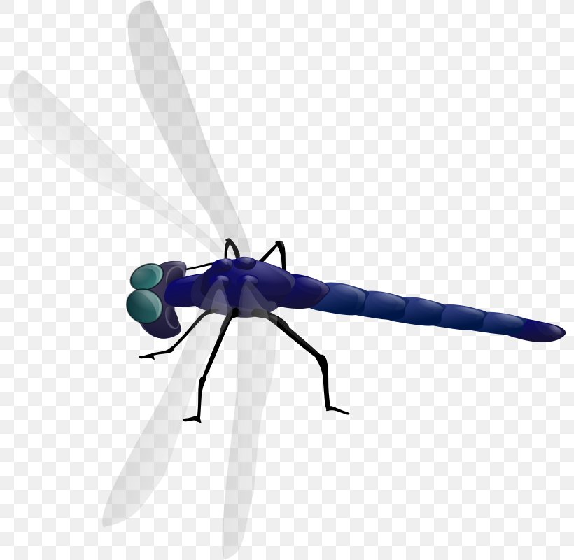 Dragonfly Free Content Clip Art, PNG, 800x800px, Dragonfly, Animation, Arthropod, Blog, Dragonflies And Damseflies Download Free