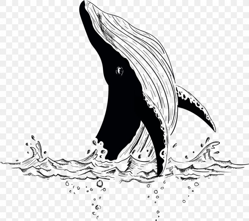 Moby-Dick Beluga Whale Illustration, PNG, 1127x1002px, Mobydick, Art, Beak, Beluga Whale, Bird Download Free