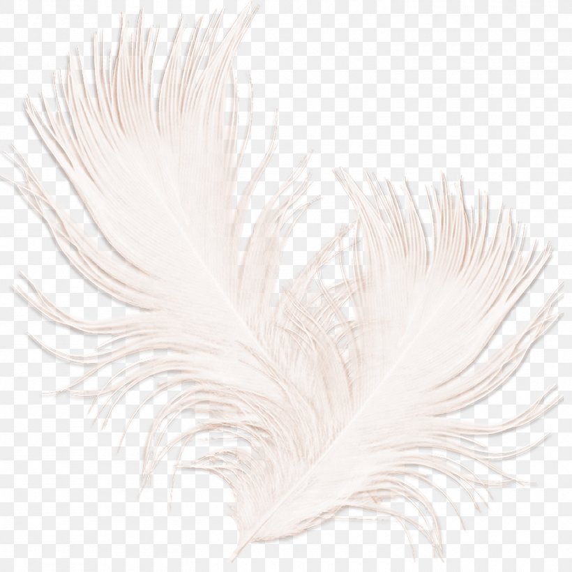 White Feather Black, PNG, 1500x1500px, White, Black, Black And White, Feather, Material Download Free