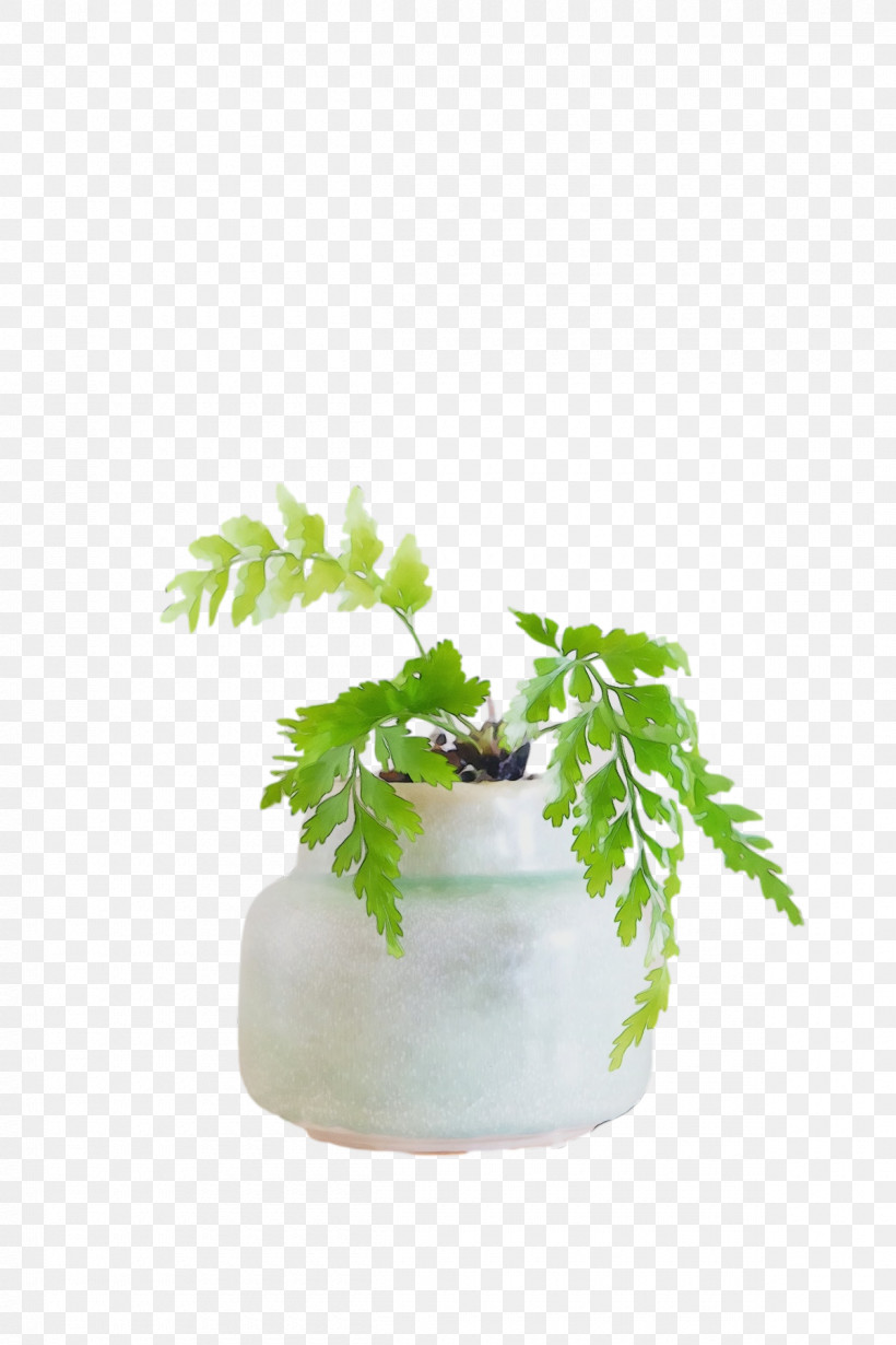 Flowerpot Houseplant Herb M-tree Tree, PNG, 1200x1800px, Watercolor, Flowerpot, Herb, Houseplant, Mtree Download Free