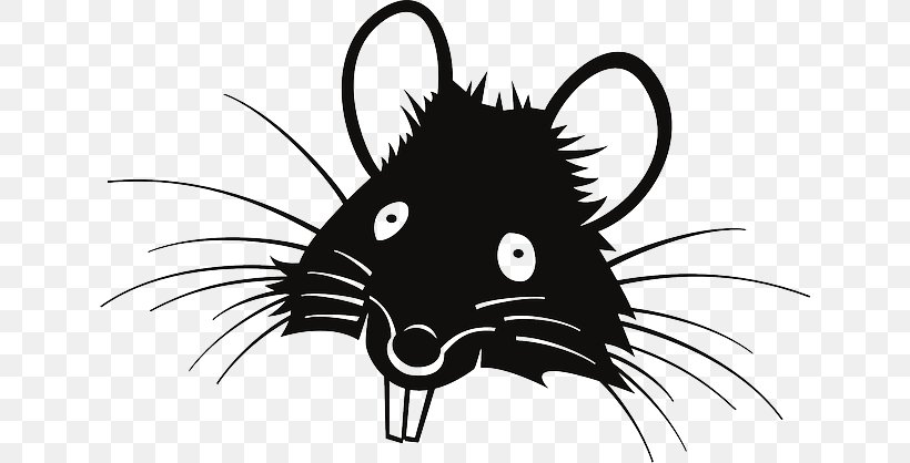Laboratory Rat Mouse Black Rat Clip Art, PNG, 640x418px, Laboratory Rat, Bat, Black, Black And White, Black Rat Download Free