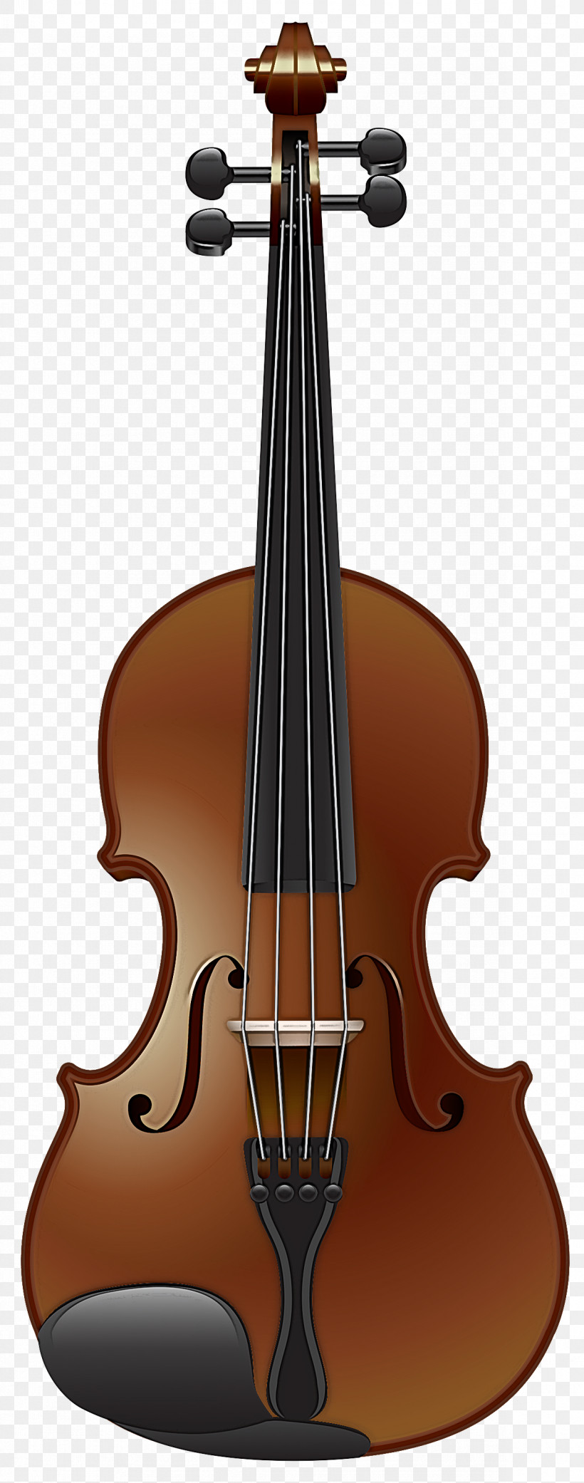String Instrument Musical Instrument String Instrument Violin Family Viola, PNG, 1181x3000px, String Instrument, Bass Violin, Musical Instrument, Tololoche, Viola Download Free