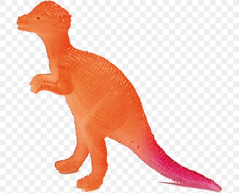 Tyrannosaurus Pachycephalosaurus Velociraptor Paleontology Terrestrial Animal, PNG, 707x664px, Tyrannosaurus, Animal, Animal Figure, Centimeter, Dinosaur Download Free