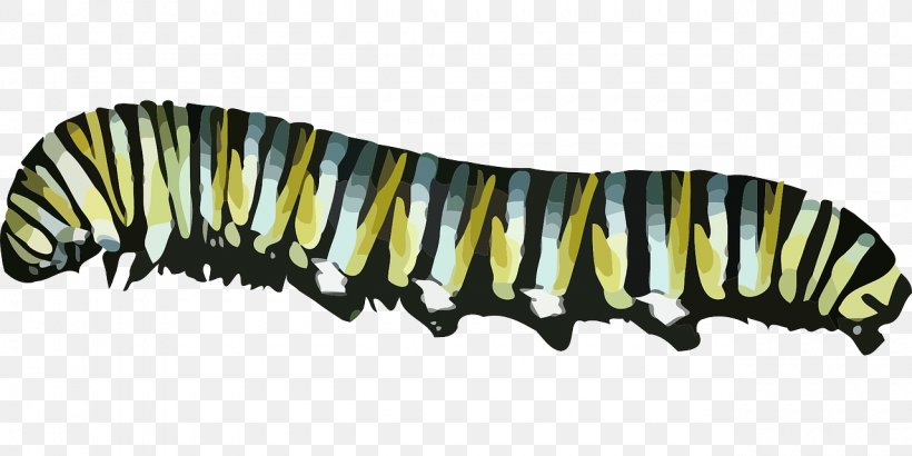 Butterfly Clip Art Transparency Caterpillar, PNG, 1280x640px, Butterfly, Animal Figure, Arthropod, Caterpillar, Insect Download Free