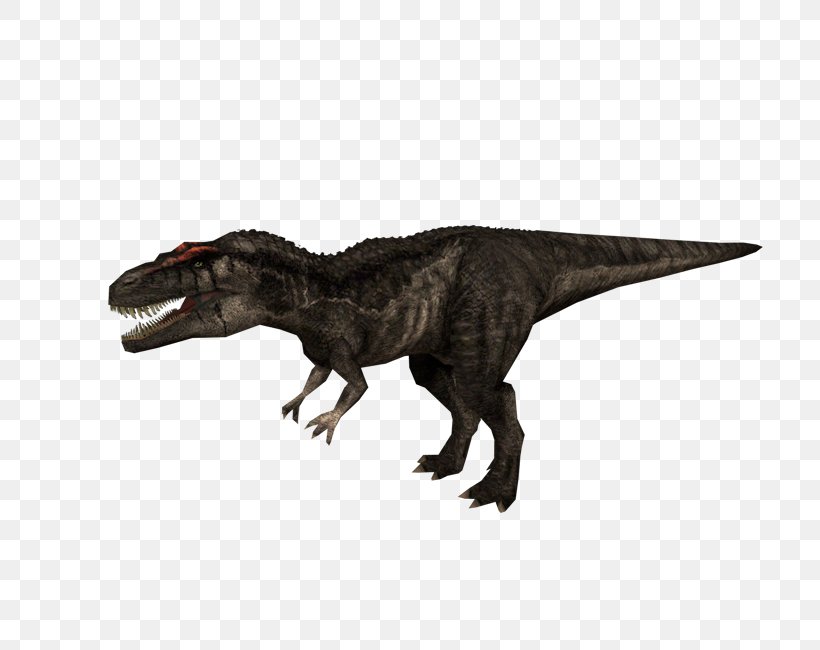 Carcharodontosaurus Jurassic Park: Operation Genesis Tyrannosaurus Jurassic Park III: Park Builder Dilophosaurus, PNG, 750x650px, Carcharodontosaurus, Albertosaurus, Animal Figure, Dilophosaurus, Dinosaur Download Free