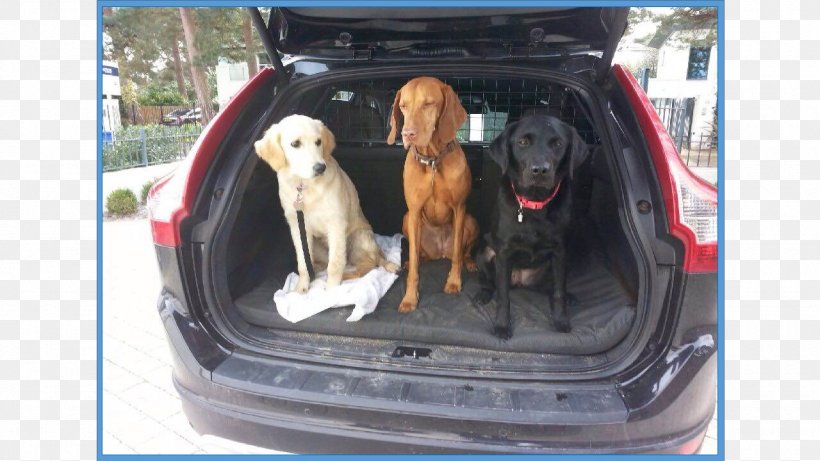 Dog Breed Vizsla Sporting Group Car Door, PNG, 1280x720px, Dog Breed, Automotive Exterior, Baby Toddler Car Seats, Breed, Car Download Free