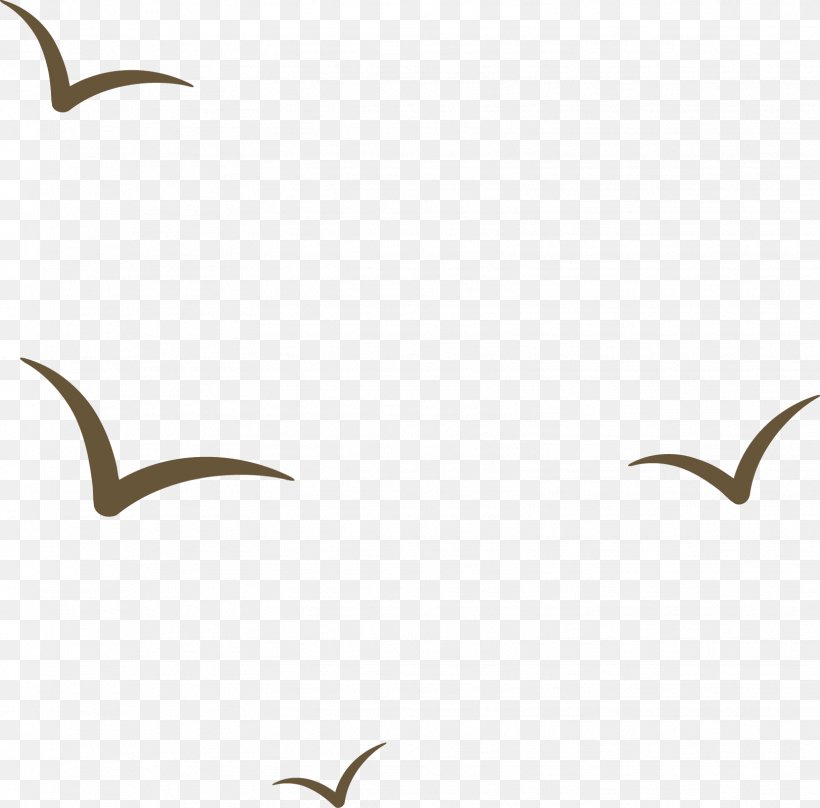 Seabird Ivory Gulls Beak Clip Art, PNG, 1623x1600px, Bird, Author, Beak, Branch, Fauna Download Free