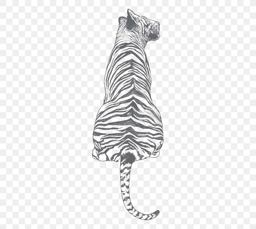 White Tiger Drawing Illustration, PNG, 564x735px, Tiger, Art, Big Cats, Black, Black And White Download Free