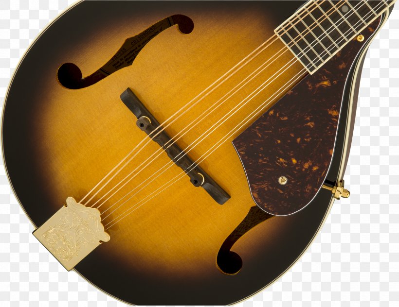 Acoustic Guitar Mandolin Cuatro Acoustic-electric Guitar Bass Violin, PNG, 2400x1851px, Watercolor, Cartoon, Flower, Frame, Heart Download Free