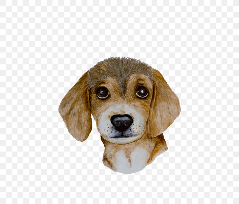Beagle Harrier Puppy Dog Breed Companion Dog, PNG, 507x700px, Beagle, Breed, Carnivoran, Companion Dog, Crossbreed Download Free