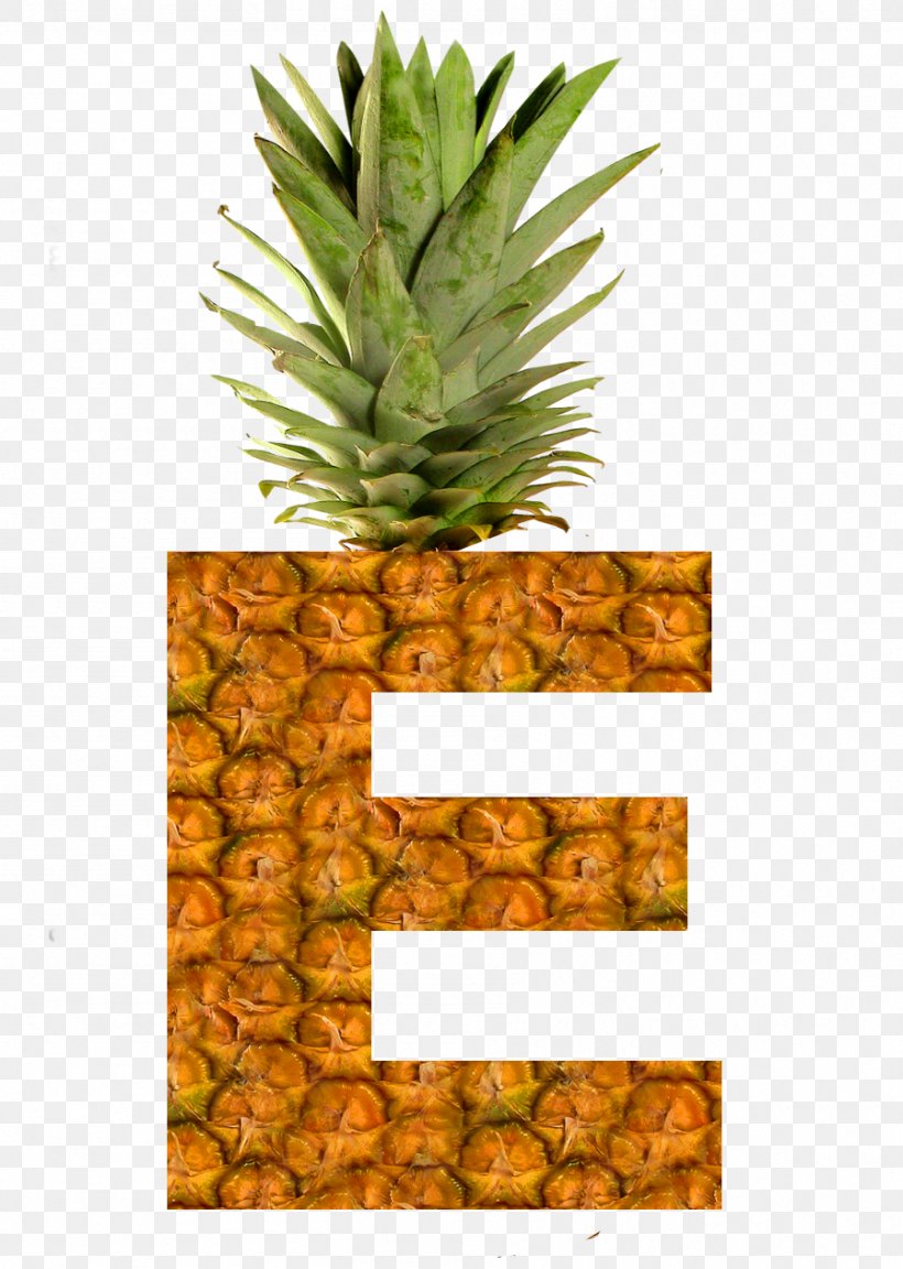 Pineapple Succade Fruit Buddha's Hand Pizza, PNG, 897x1261px, Pineapple, Alphabet, Ananas, Bromeliaceae, Citron Download Free