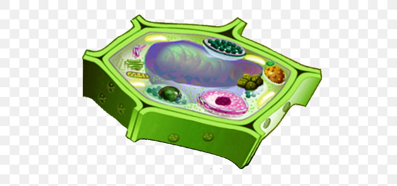 Plant Cell Cèl·lula Eucariota Cèl·lula Animal Eukaryote, PNG, 731x384px, Plant Cell, Biology, Cell, Cell Nucleus, Cell Wall Download Free