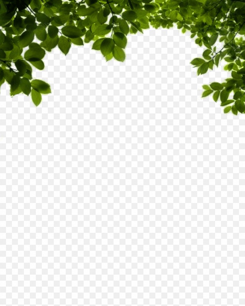 Shrub Clip Art, PNG, 1024x1280px, Branch, Grass, Green, Leaf, Pattern Download Free