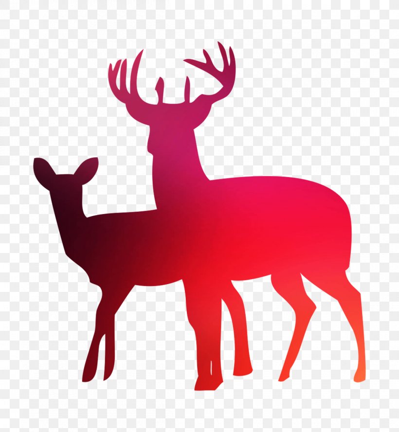 White-tailed Deer Wall Decal Sticker, PNG, 1200x1300px, Deer, Antler, Blacktailed Deer, Decal, Deer Hunting Download Free