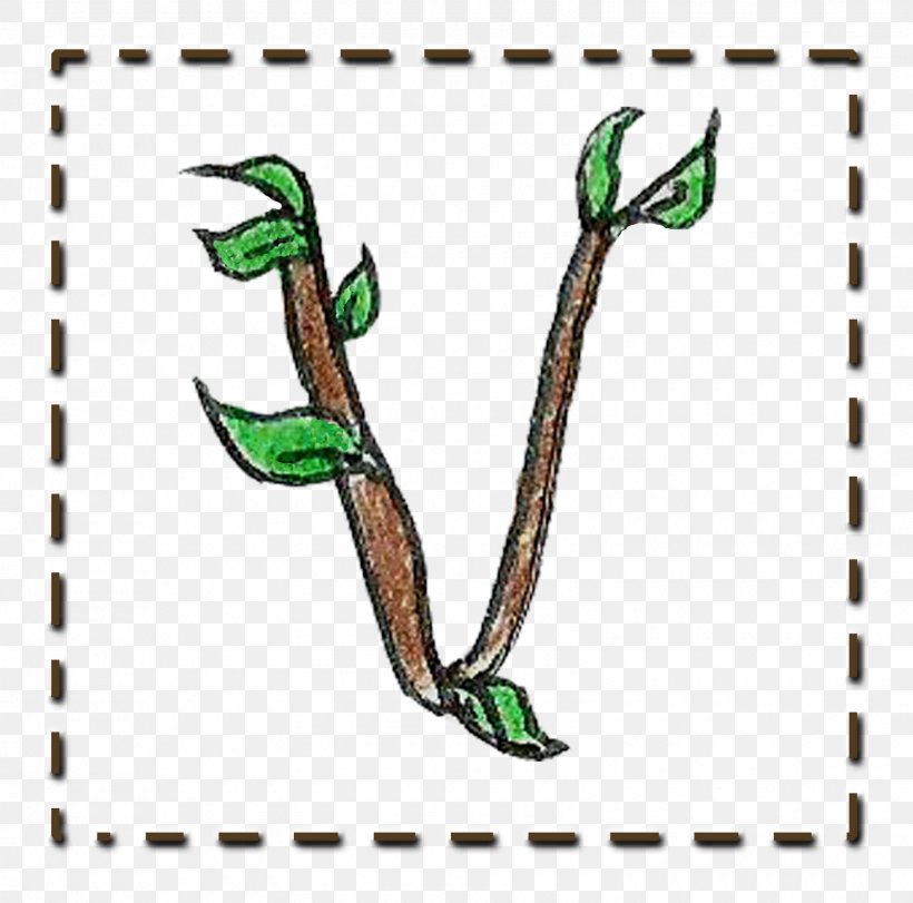 Branch Leaf Twig Plant Stem Tree, PNG, 1600x1583px, Branch, Animal, Art, Artwork, Fauna Download Free