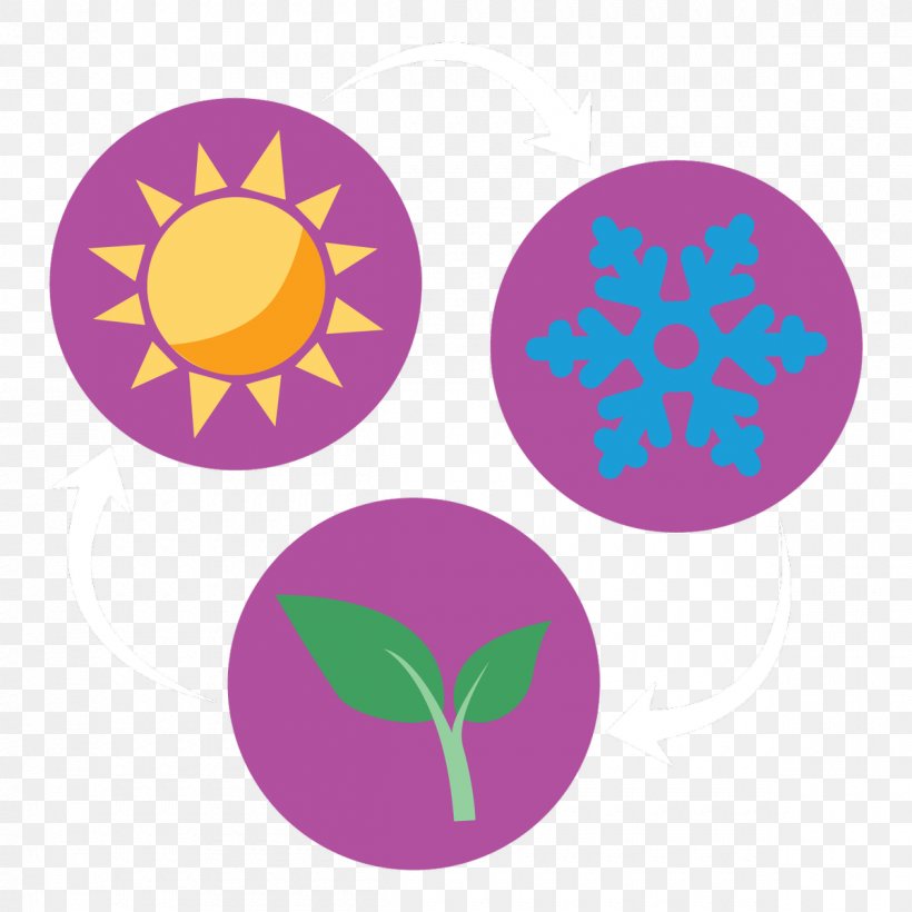 Clip Art Product Logo Purple, PNG, 1200x1200px, Logo, Petal, Purple, Symbol, Violet Download Free