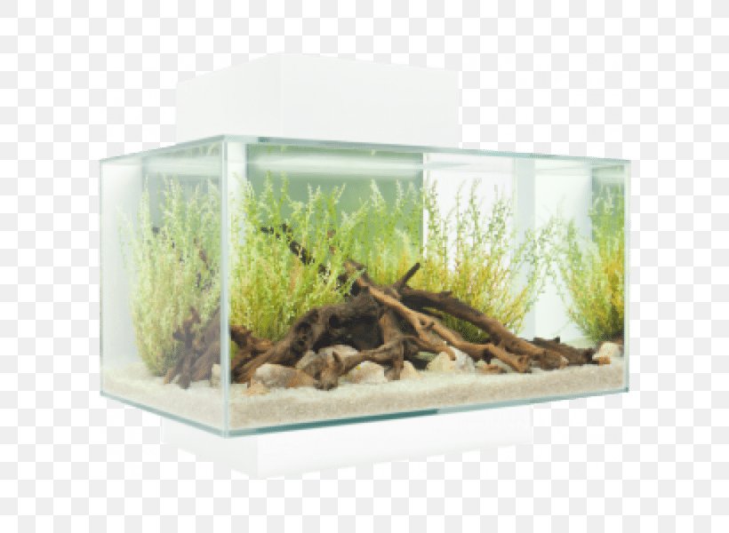 Fluval Edge Light-emitting Diode Aquarium LED Lamp, PNG, 600x600px, Fluval Edge, Aquarium, Aquarium Decor, Aquatic Plants, Fauna Download Free