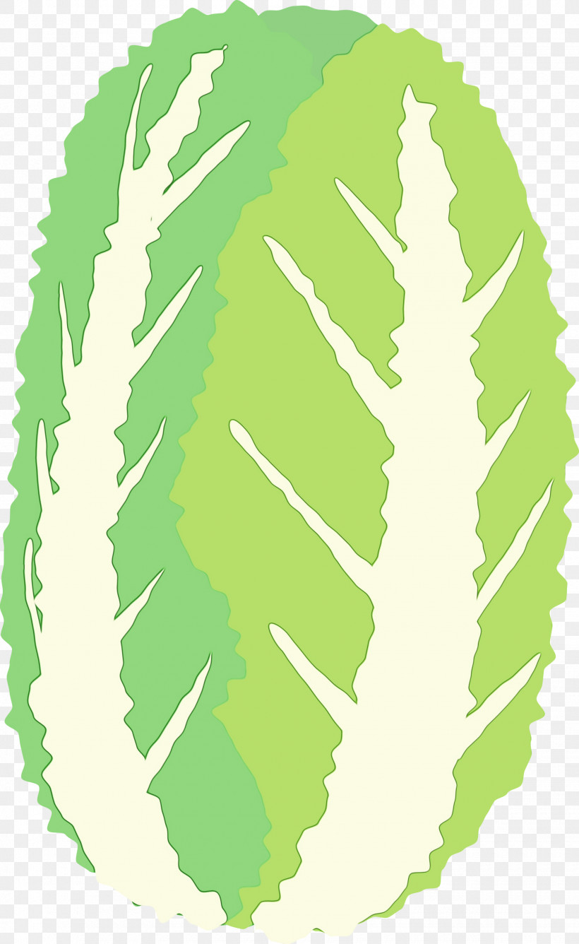 Leaf Plant, PNG, 1840x3000px, Nappa Cabbage, Leaf, Paint, Plant, Watercolor Download Free