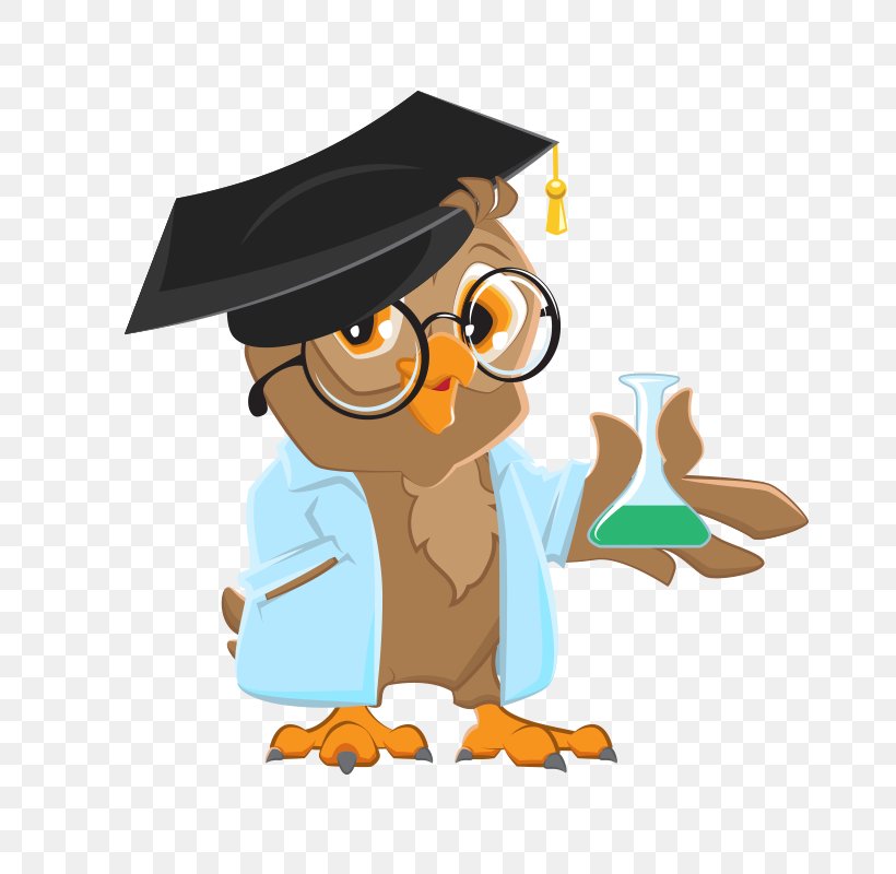 Owl Vector Graphics Royalty-free Stock Illustration, PNG, 800x800px, Owl, Animated Cartoon, Animation, Bird, Bird Of Prey Download Free