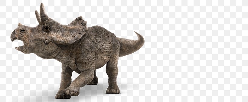 Baby Triceratops Tyrannosaurus Apatosaurus Velociraptor, PNG, 800x339px, Triceratops, Animal Figure, Animatronics, Apatosaurus, Baby Triceratops Download Free