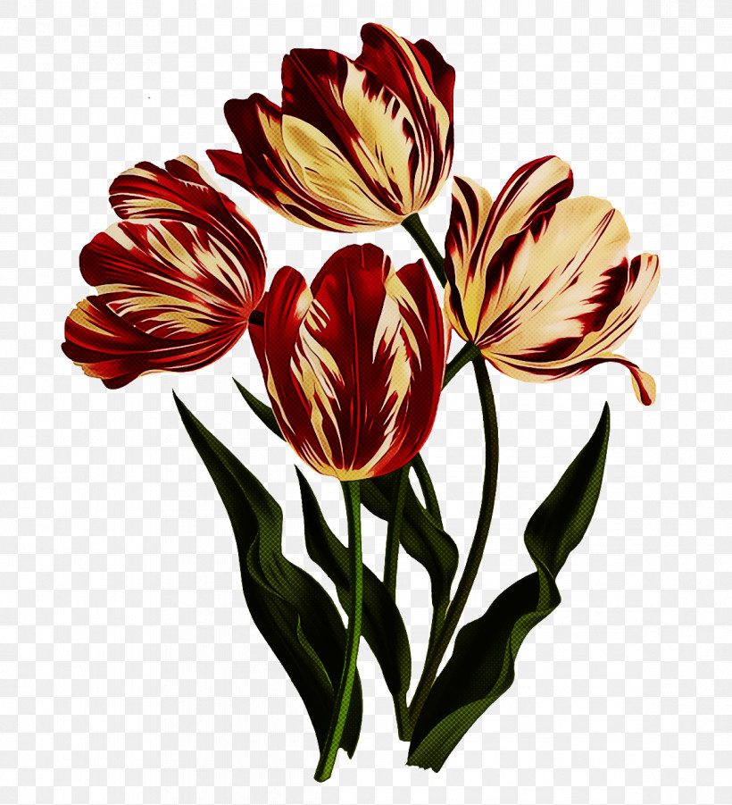 Floral Design, PNG, 1164x1280px, Plant Stem, Biology, Cut Flowers, Floral Design, Flower Download Free