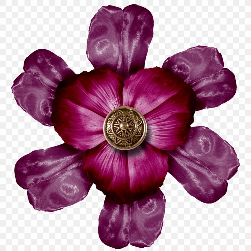 Flower 0 Plant Violet November, PNG, 1024x1024px, 2014, 2016, 2017, Flower, Blog Download Free