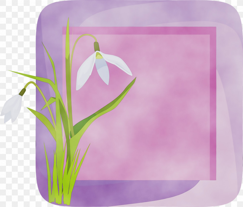 Lavender, PNG, 3000x2559px, Flower Photo Frame, Flower, Flower Frame, Lavender, Magenta Download Free