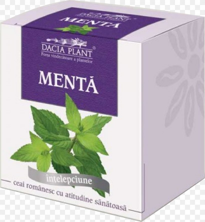 Tea Mint Plant Milk Chamomile, PNG, 1483x1609px, Tea, Astringent, Chamomile, Condiment, Digestif Download Free