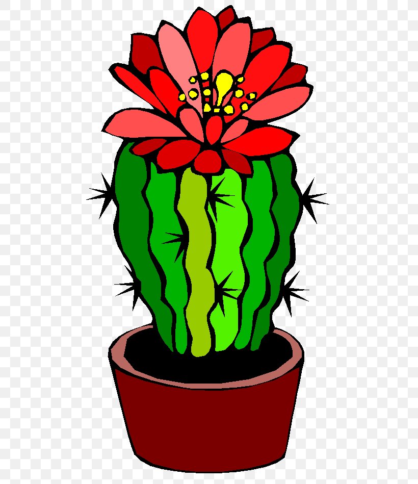 Barrel Cactus Flower Clip Art, PNG, 490x949px, Barrel Cactus, Artwork, Cactaceae, Cactus Flower, Cut Flowers Download Free