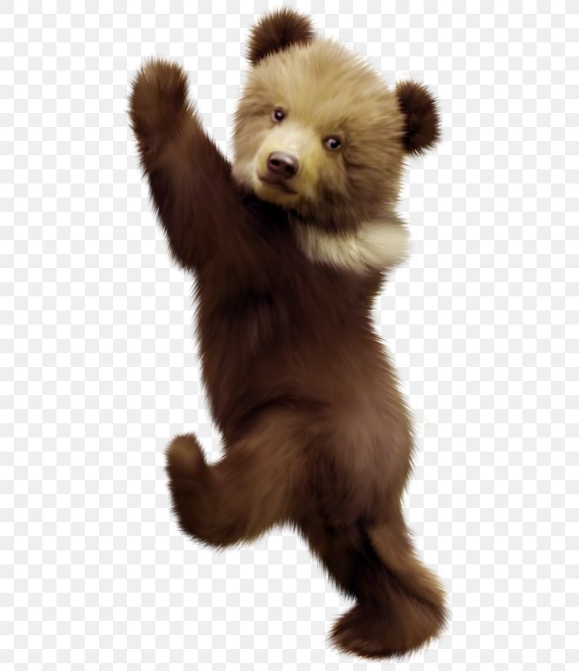 Bear Cubs Polar Bear American Black Bear, PNG, 476x951px, Bear, American Black Bear, Animal, Art, Brown Bear Download Free