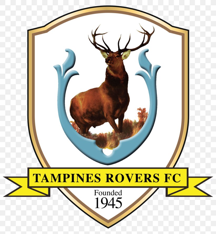Tampines Rovers FC Singapore Premier League Young Lions Hougang United ...