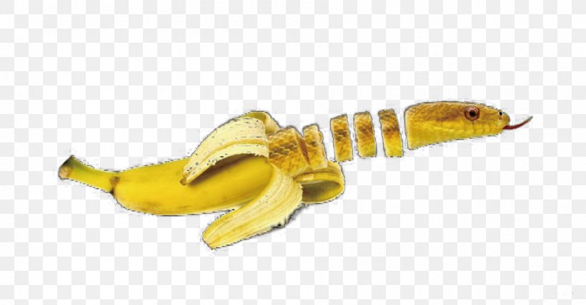 Banana Snake Animal Fruit Vegetable, PNG, 950x496px, Banana, Animal, Art, Artist, Auglis Download Free