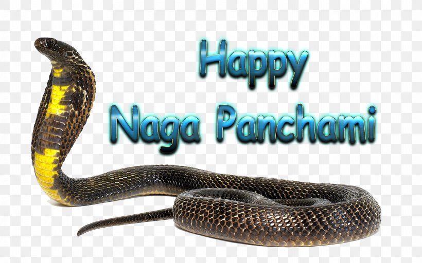 Naga Panchami Product Desktop Wallpaper, PNG, 1920x1200px, Naga Panchami, Elapid Snakes, Elapidae, Mamba, Name Download Free