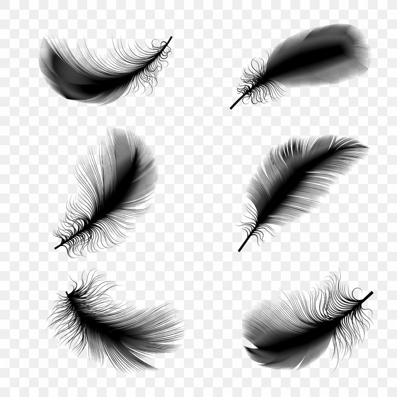 Bird Feather Euclidean Vector Illustration, PNG, 4167x4167px, Bird, Beauty, Black And White, Close Up, Cosmetics Download Free
