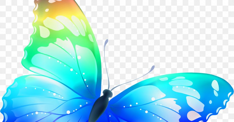 Butterfly Desktop Wallpaper Clip Art, PNG, 1200x630px, Butterfly, Adobe Flash, Aqua, Azure, Blue Download Free