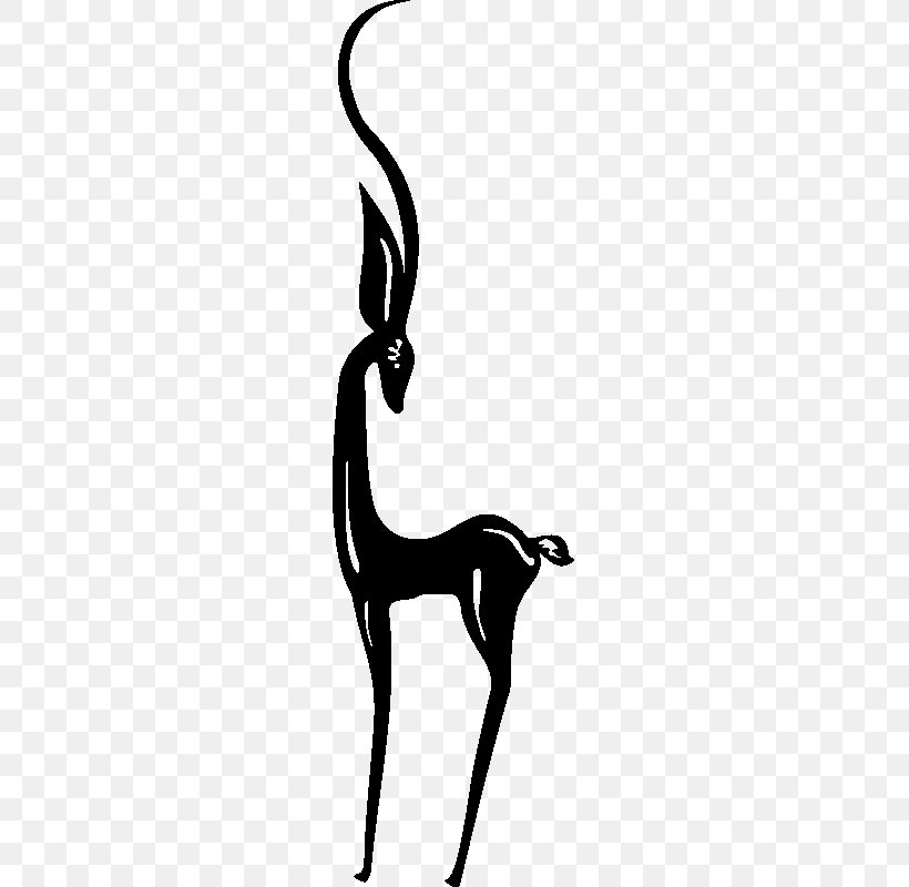 Cat Giraffe Mammal Tail Dog, PNG, 800x800px, Cat, Beak, Black, Black And White, Black M Download Free