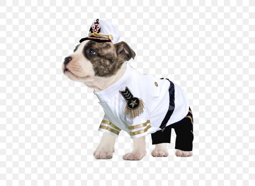 Dog Breed Puppy Halloween Costume Boston Terrier, PNG, 600x600px, Dog Breed, Boston Terrier, Boutique, Cap, Carnivoran Download Free