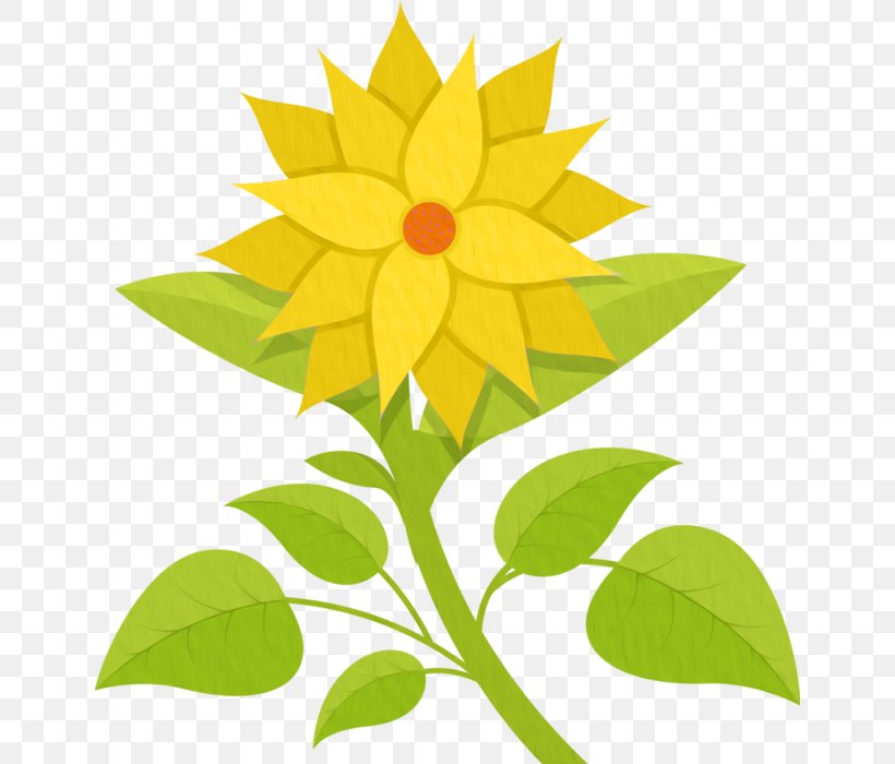 Drawing Flower, PNG, 646x700px, Drawing, Art, Daisy Family, Flora, Floral Design Download Free