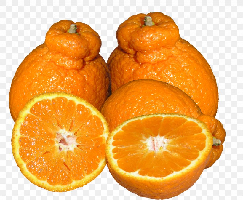 Mandarin Orange Tangerine Tangelo Rangpur Clementine, PNG, 1280x1055px, Mandarin Orange, Auglis, Bitter Orange, Blood Orange, Chenpi Download Free