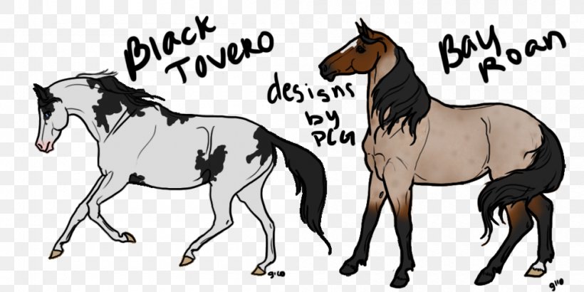 Mule Foal Stallion Mare Colt, PNG, 1000x500px, Mule, Animal Figure, Bridle, Cartoon, Colt Download Free