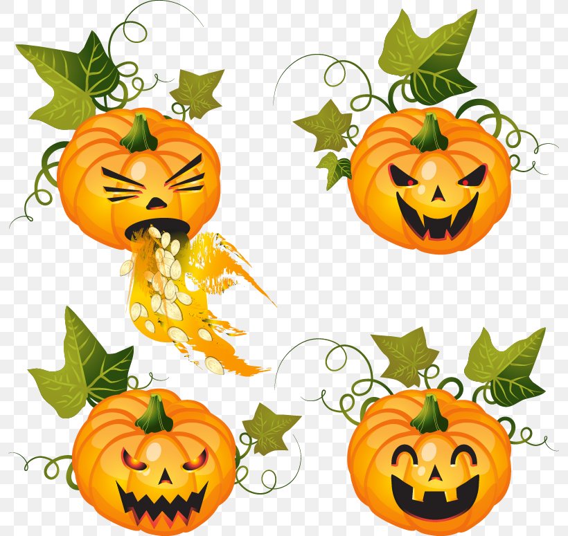 Pumpkin Halloween Jack-o'-lantern Clip Art, PNG, 795x775px, Cucurbita Maxima, Calabaza, Clip Art, Cucurbita, Flower Download Free