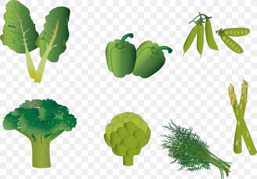 Leaf Euclidean Vector, PNG, 1010x705px, Leaf, Grass, Green, Leaf Vegetable, Organism Download Free
