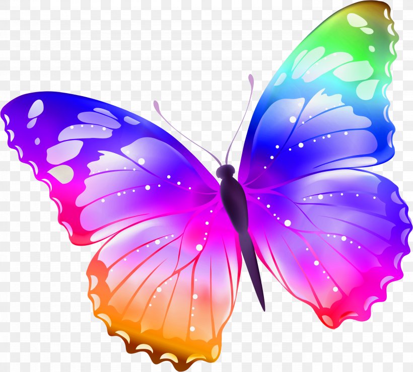 The Witcher Butterfly Sticker Clip Art, PNG, 2771x2499px, Witcher, Brush Footed Butterfly, Butterflies And Moths, Butterfly, Computer Software Download Free