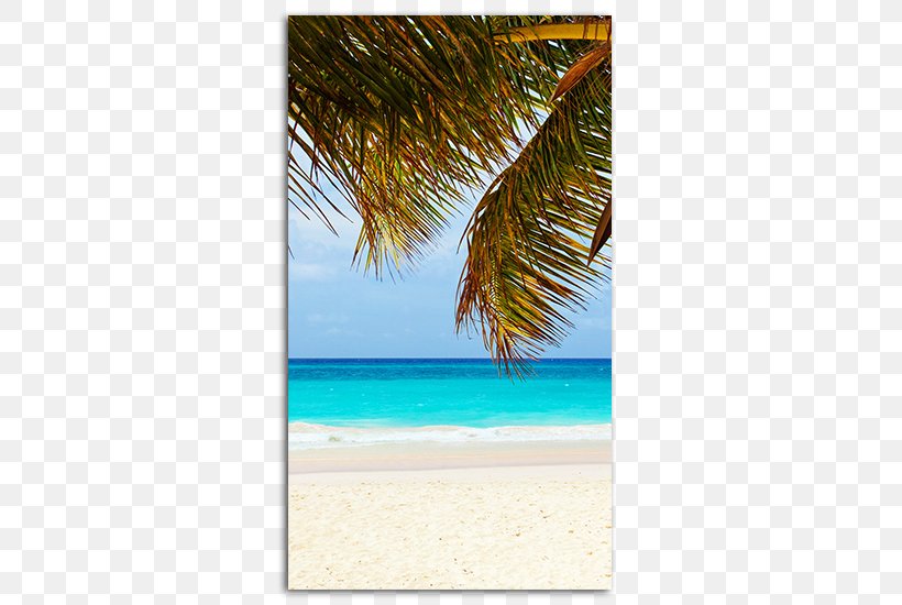 Caribbean Desktop Wallpaper Playa Del Carmen IPhone High-definition Television, PNG, 485x550px, Caribbean, Allinclusive Resort, Aqua, Handheld Devices, Highdefinition Television Download Free