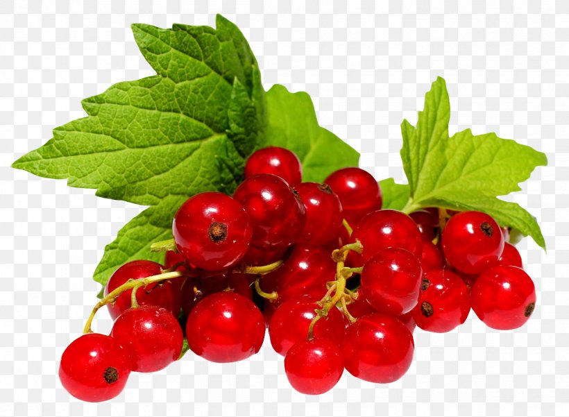 Redcurrant Frutti Di Bosco Blackcurrant White Currant Gooseberry, PNG, 1446x1060px, Juice, Berry, Blackcurrant, Cherry, Cranberry Download Free