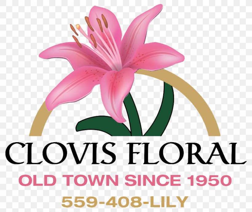 Cut Flowers Pink M Television Petal Clip Art, PNG, 834x704px, Cut Flowers, Flower, Flowering Plant, Naturism, Petal Download Free