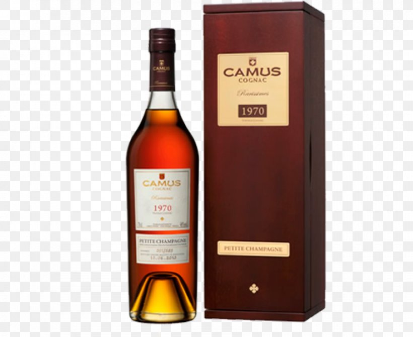 Liqueur Cognac Brandy Whiskey Gin, PNG, 880x720px, Liqueur, Alcohol By Volume, Alcoholic Beverage, Alcoholic Drink, Armagnac Download Free