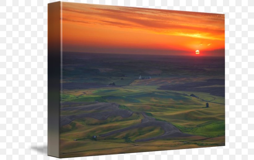 Palouse Painting Gallery Wrap Ecoregion Canvas, PNG, 650x517px, Palouse, Art, Atmosphere, Canvas, Dawn Download Free