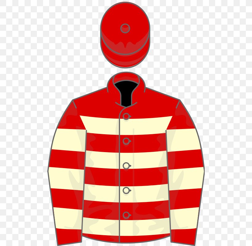 Thoroughbred Racing Silks Ballydoyle Horse Racing Mayson, PNG, 512x799px, Thoroughbred, Bay, Chestnut, Cheveley Park Stud, Foal Download Free